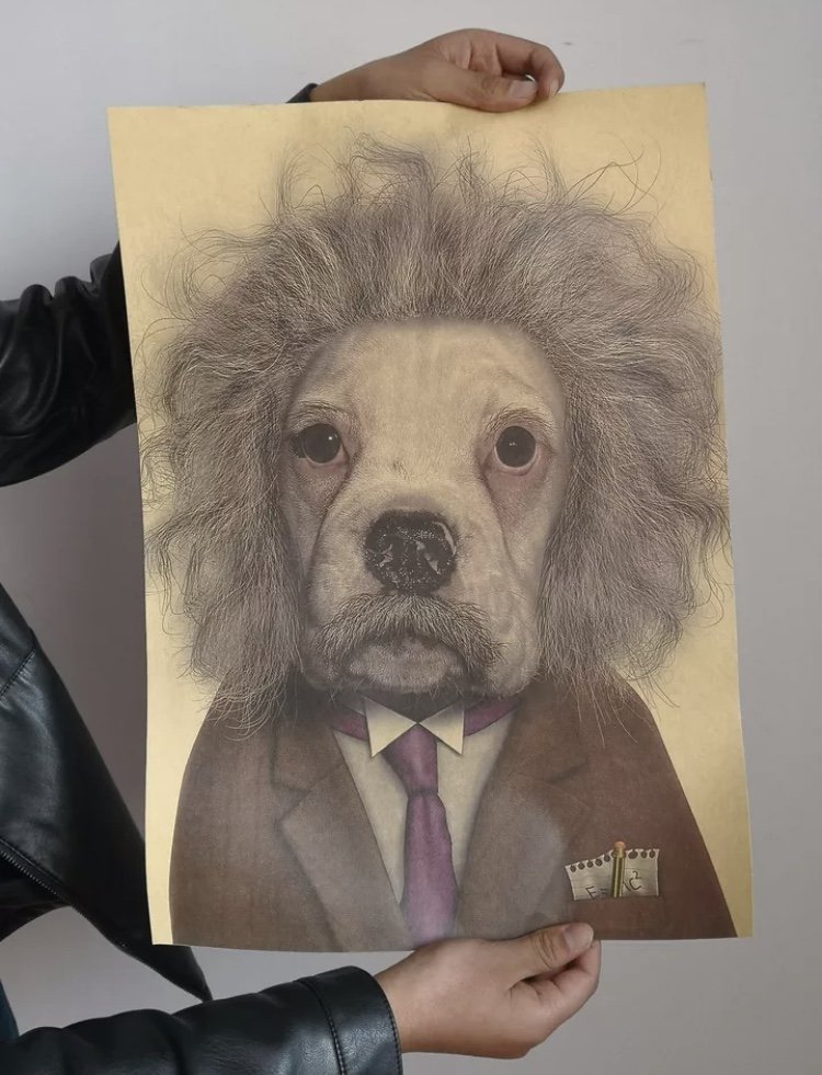 Dog Albert Einstein Poster Funny Pet Animal Scientist Wall Decor Art Picture Decoration