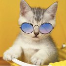 Blue Pink Sunglasses Dog Cat Pet Colorful Glasses Eye-wear Puppy Kitty Gift Accessory Photo Prop