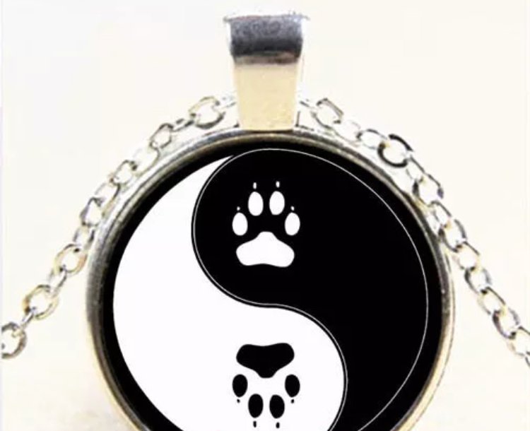 Paw Print Yin Yang Pendant Necklace Tibetan Cabochon Glass Dome Fashion Accessory Silver Jewelry