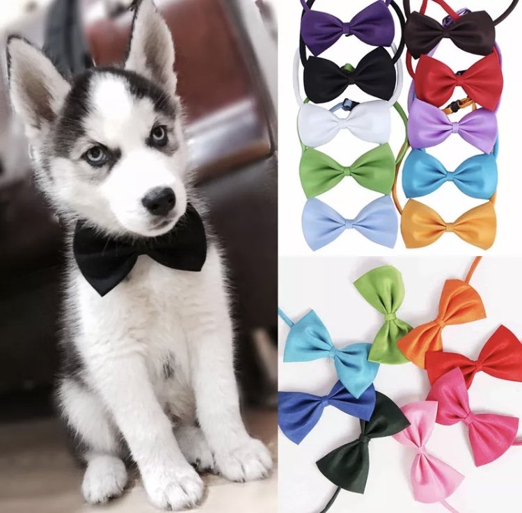 Adjustable Bow Tie Pet Puppy Dog Kitten Cat Cute Collar Holiday Easter Birthday Accessory