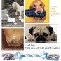 Braided Knot Rope Chew Toy Durable Strong Pet Puppy Dog Supplies Tug War Play Toys