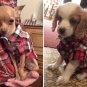 Plaid Turn Down Collar Shirt XS-L Short Sleeve Button Closure Lattice Dog Cat Apparel Pet Clothes