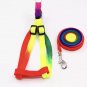 Adjustable Rainbow Harness Leash Set Puppy Dog Kitten Cat Rabbit Lead Outdoor Walking Pet Supplies