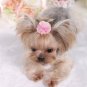 Pet Hair Clip Flower Bow Tie Headdress Hairclip Pet Puppy Dog Fur Kitten Cat Hair Pin Head Accessory