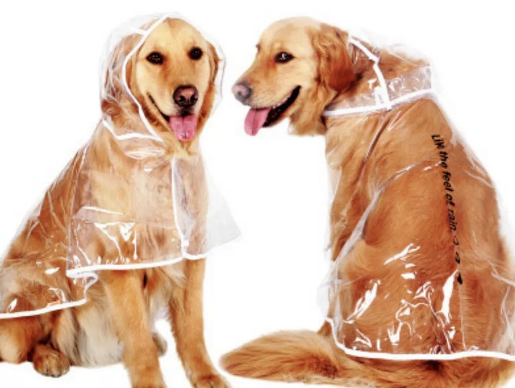 Transparent Pet Rain Coat 3XL-6XL Large Dog Waterproof Outdoor Protection Clothes Rain Jacket
