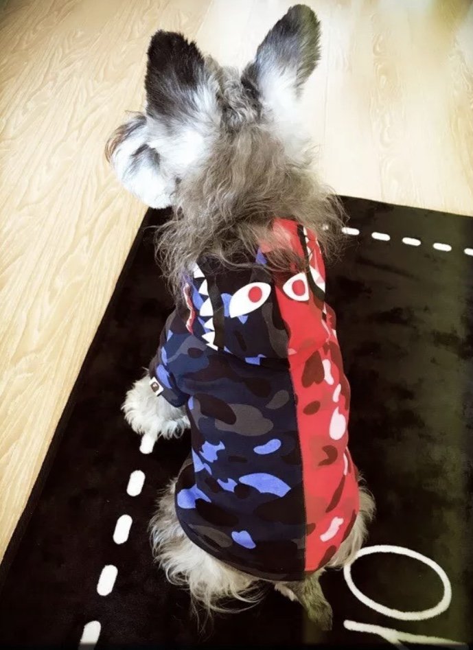 Bape Bathing Ape Pet Hoodie SXL Puppy Dog Cat Coat shark mouse thick