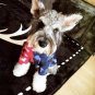 Bape Bathing Ape Pet Hoodie S-XL Puppy Dog Cat Coat shark mouse thick cotton warm Clothes