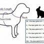Paw Print Pet Harness XS-XXL Puppy Dog Cat Soft Mesh Control Walking Outdoors Collar