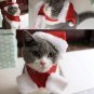 Santa Hat Scarf Set Christmas Plush Pet Puppy Dog Kitten Cat Winter Holiday Accessories