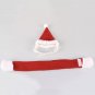 Santa Hat Scarf Set Christmas Plush Pet Puppy Dog Kitten Cat Winter Holiday Accessories