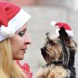 Christmas Pet Santa Hat Dog Cat Gift Costume Plush Xmas holiday Accessory Prop Santa Paws