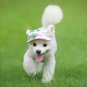 Pet Dog Hat Baseball Cap Windproof Travel Sports Sun Hats Puppy Dog Accessories