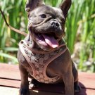 Gucci Pet Harness Leash Seat XS-XL Puppy Dog Kitten Cat Luxury Fashion Style Walk Outdoors Supplies