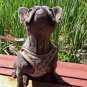 Gucci Pet Harness Leash Seat XS-XL Puppy Dog Kitten Cat Luxury Fashion Style Walk Outdoors Supplies