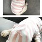 Matching Bunny Ears Pet Parent Hoodies S-4XL Puppy Dog Costume Striped Sweatshirt Clothes
