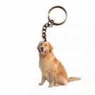 Golden Retriever Acrylic Keychain Pendant Collectible Car Bag Keyring Animal Pet Puppy Dog Accessory