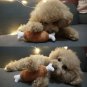 Chicken Bone Plush Squeaky Pet Toy Puppy Dog Interactive Squeaker Sound Play Chew Toys