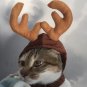 Reindeer Antler Pet S Puppy Dog Kitty Cat Animal Cap Reindeer Christmas Party Holiday Headwear Hat