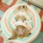 Pet Bathrobe Bath Towel Robe XS-XL Puppy Dog Cat Soft Absorbent Pajamas Clothes Grooming Supplies