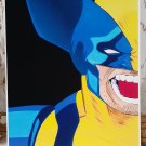 Wolverine Marvel vs Capcom
