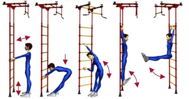 Растяжка на шведской стенке упражнения