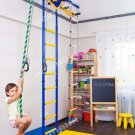 Kid's Home Gym Indoor Swedish wall Playground Set for Kids room - Carousel R55: