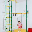 Kid's Home Gym Indoor Playground Set School with Swing - Carousel R33