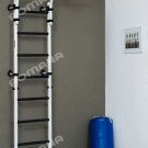 Romana S8(Teenager) - Indoor home gym (swedish wall) for Gyms, Schools and Kids