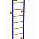 Vigor - Kid's Indoor Home Gym Swedish Wall