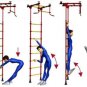 Small moon: Indoor home gym Playground Set for Kids (swedish wall)