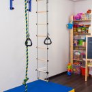 Pullup Bar Wall Mounted+Accessories
