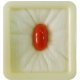 Red Coral Gemstone