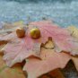 Clay Yellow & Gold Shimmer Stud Earrings