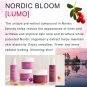 Lumene Nordic Bloom [Lumo] Anti-Wrinkle & Firm Nigh Moisturizer 50 ml / 1.7Fl.Oz