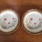 Set of 2 Mikasa WHOLE WHEAT JARDINIERE E8016 -b&b/salad plates 8"/speckled/tan