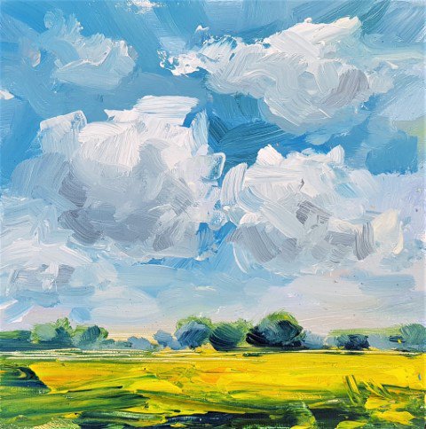 Coleseed fields 4