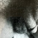 Penis Puzzle #1, Explicit Adult NOVELTY JIGSAW PUZZLE queer gay art Up Close