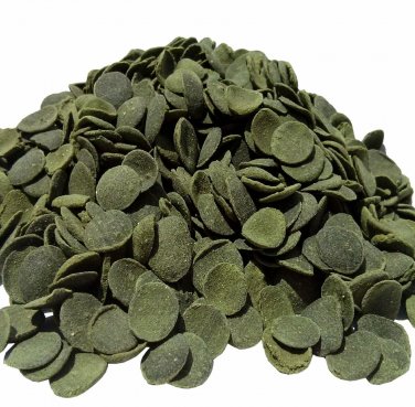 Algae Wafers Algae Discs For Fish Crabs Crayfish Snails Shrimp 4 oz. by Zeigler
