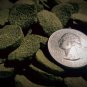 8 oz. Algae Wafers Algae Discs For Pleco Corydora Crabs Crayfish Snails Shrimp