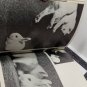Katzen lieben und verstehen German Hardcover Book