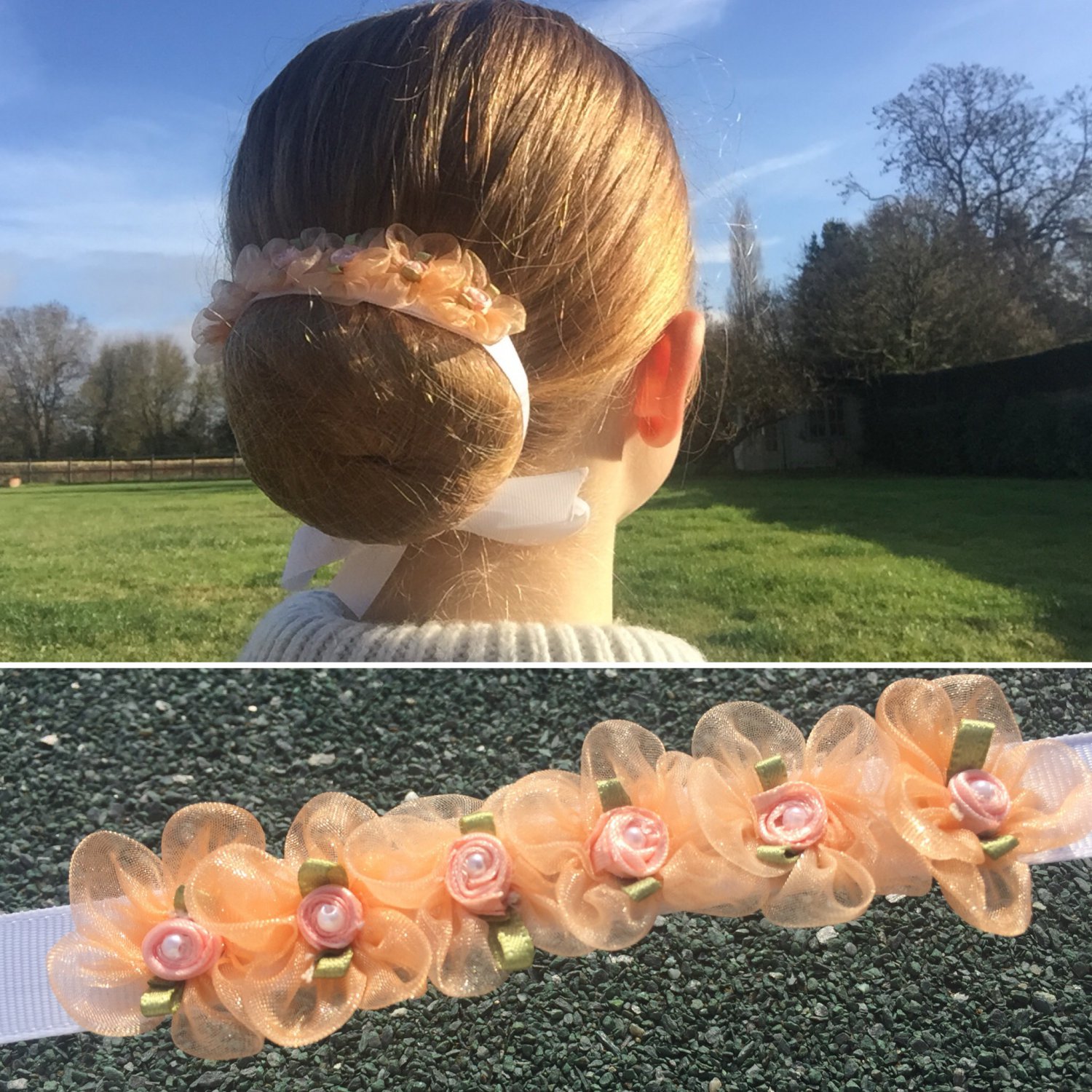 SYLVIA - Apricot