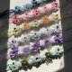 NEW Spring collection