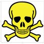 Skull & Crossbones Permanent Vinyl Decal, Car window, Tablet, Cell Phone Decal