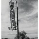 Greyhound: A Memoir Paperback  by Joanna Pocock