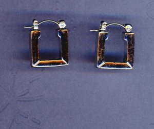 ER0019