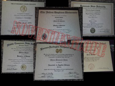 Associate/Bachelor/Master Degree (Novelty Only) FREE SHIPPING!!