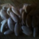 50 Cantaloupes Per Package