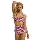 Size L Red Printed Vintage High Waist Two Piece Bikini DM1037
