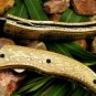 8'' Custom Hand Made Forged Folding Hunter Pocket Knife Damascus Steel Bowie Knife Handle Brass
