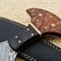 11.5'' Custom Hand Made Forged Damascus Tracker Knife with Buffalo Horn & Rose Wood